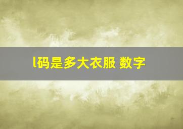 l码是多大衣服 数字